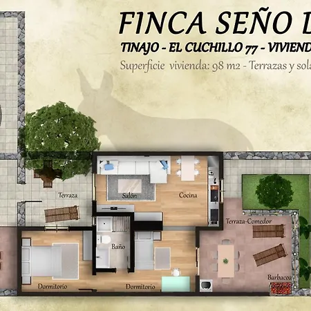 Seno Donato Lomo La Santa * Tinajo