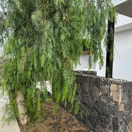 Seno Donato Lomo La Santa