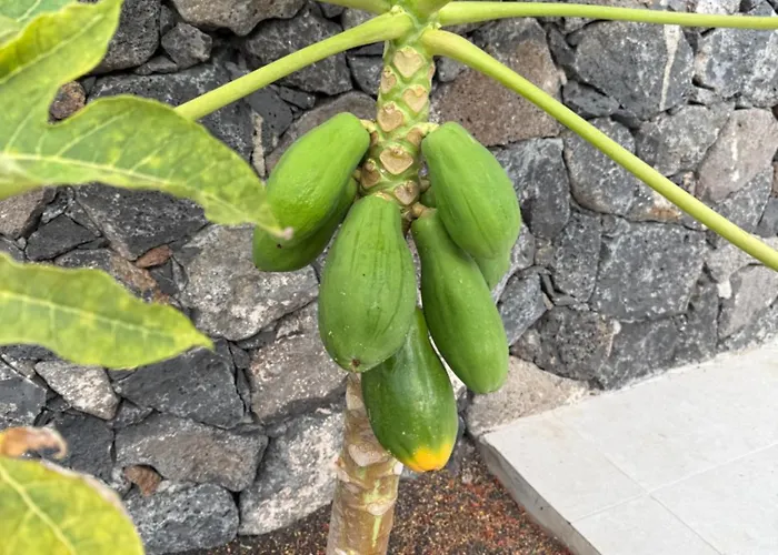 Nyaraló Seno Donato Lomo La Santa